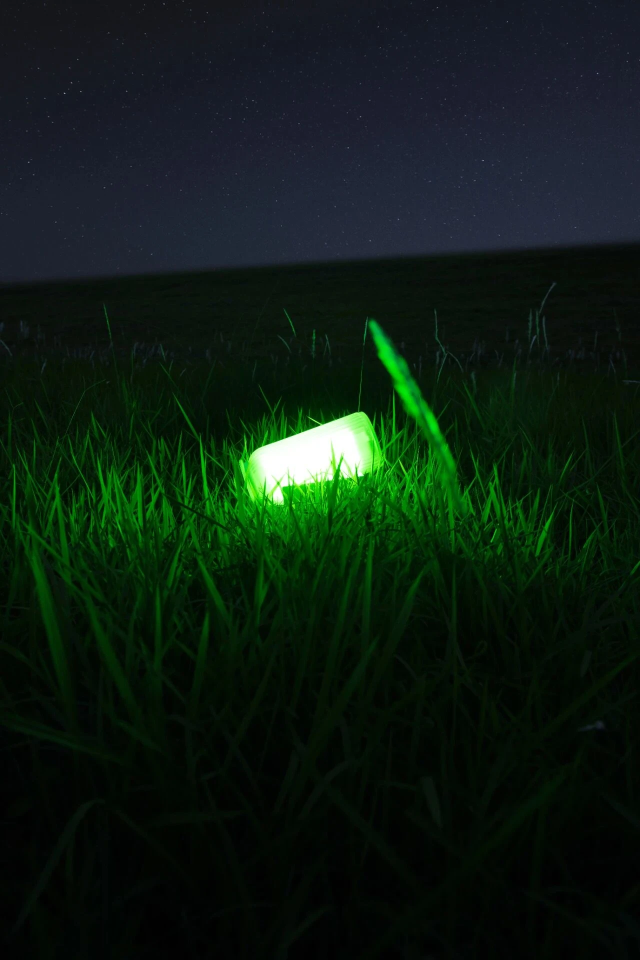 Spirits of Earth — image 2 of 8