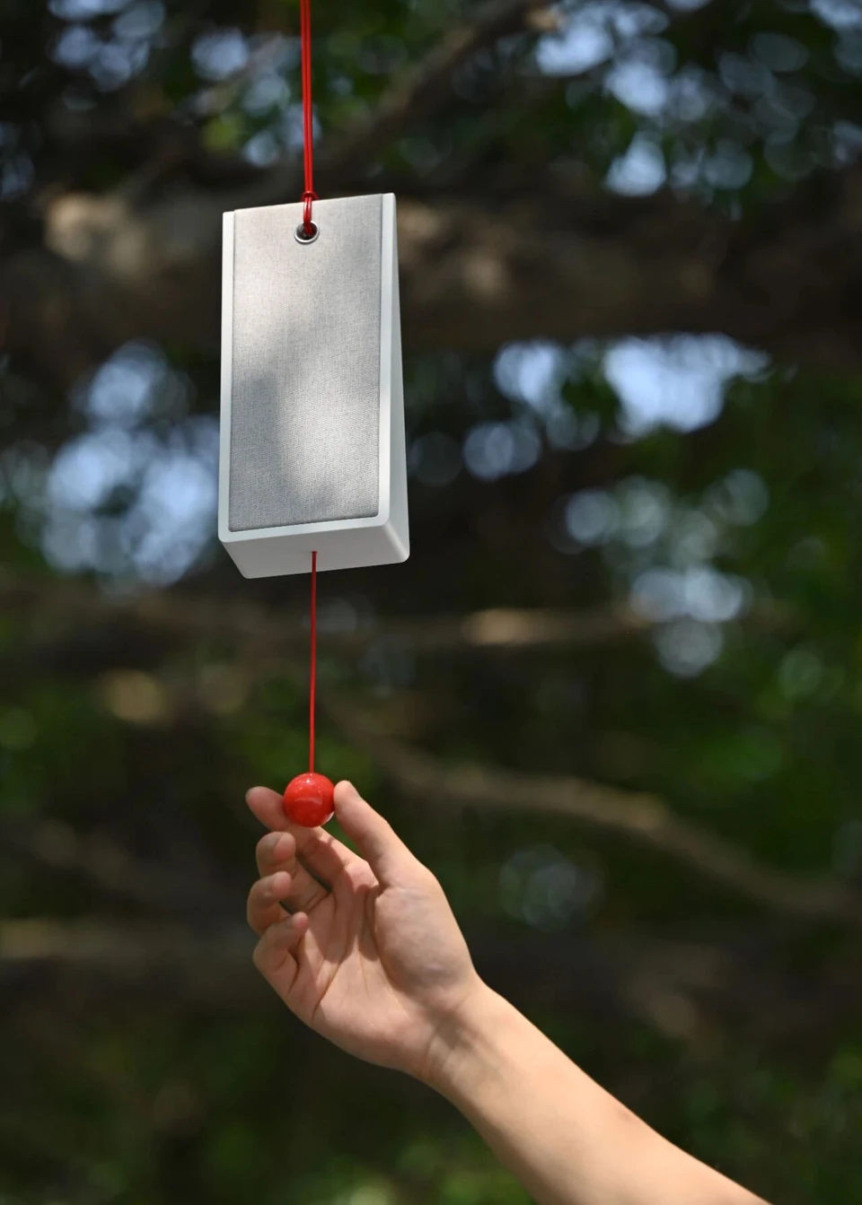 Slice — image 2 of 8