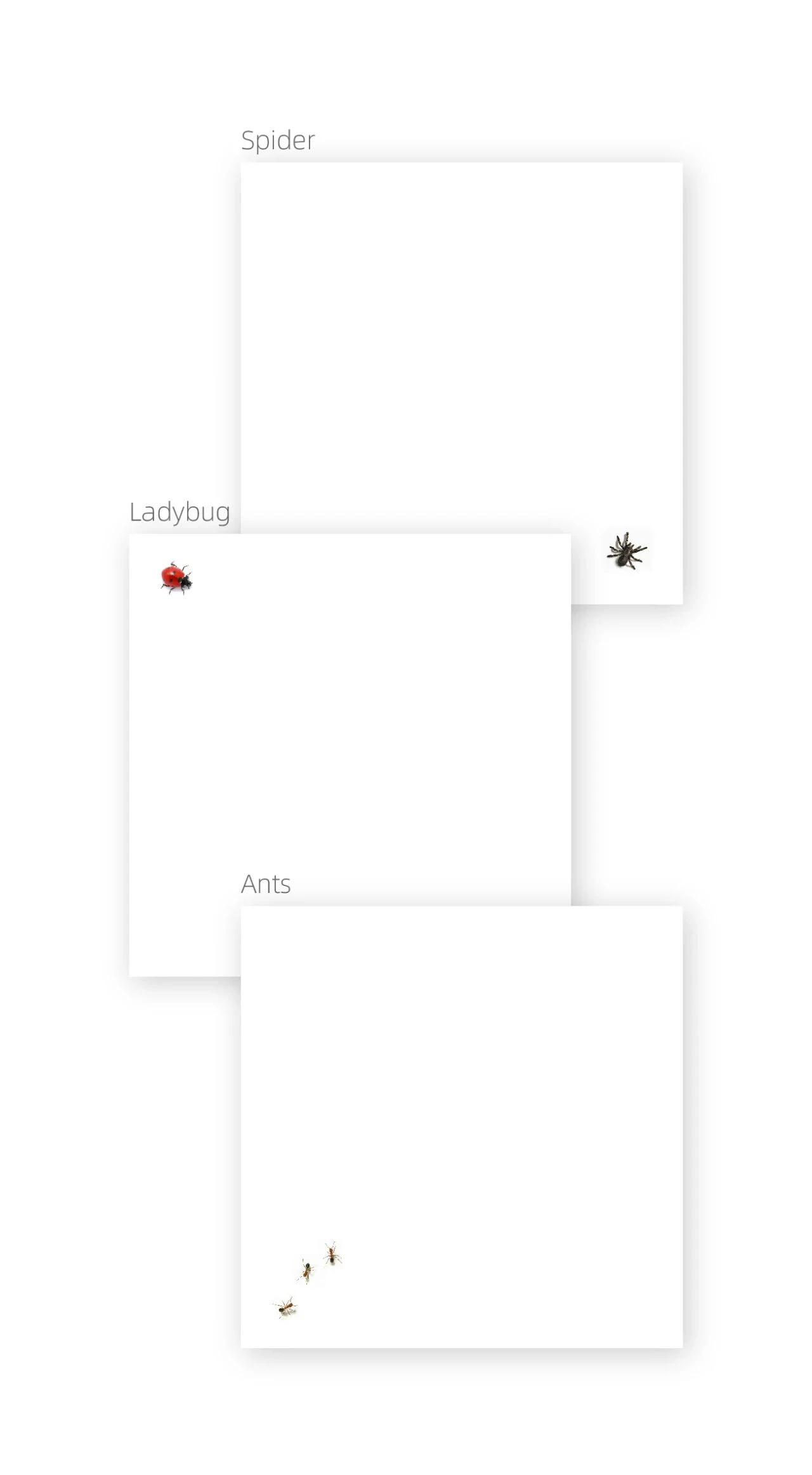 Where Did It Go? — image 2 of 5