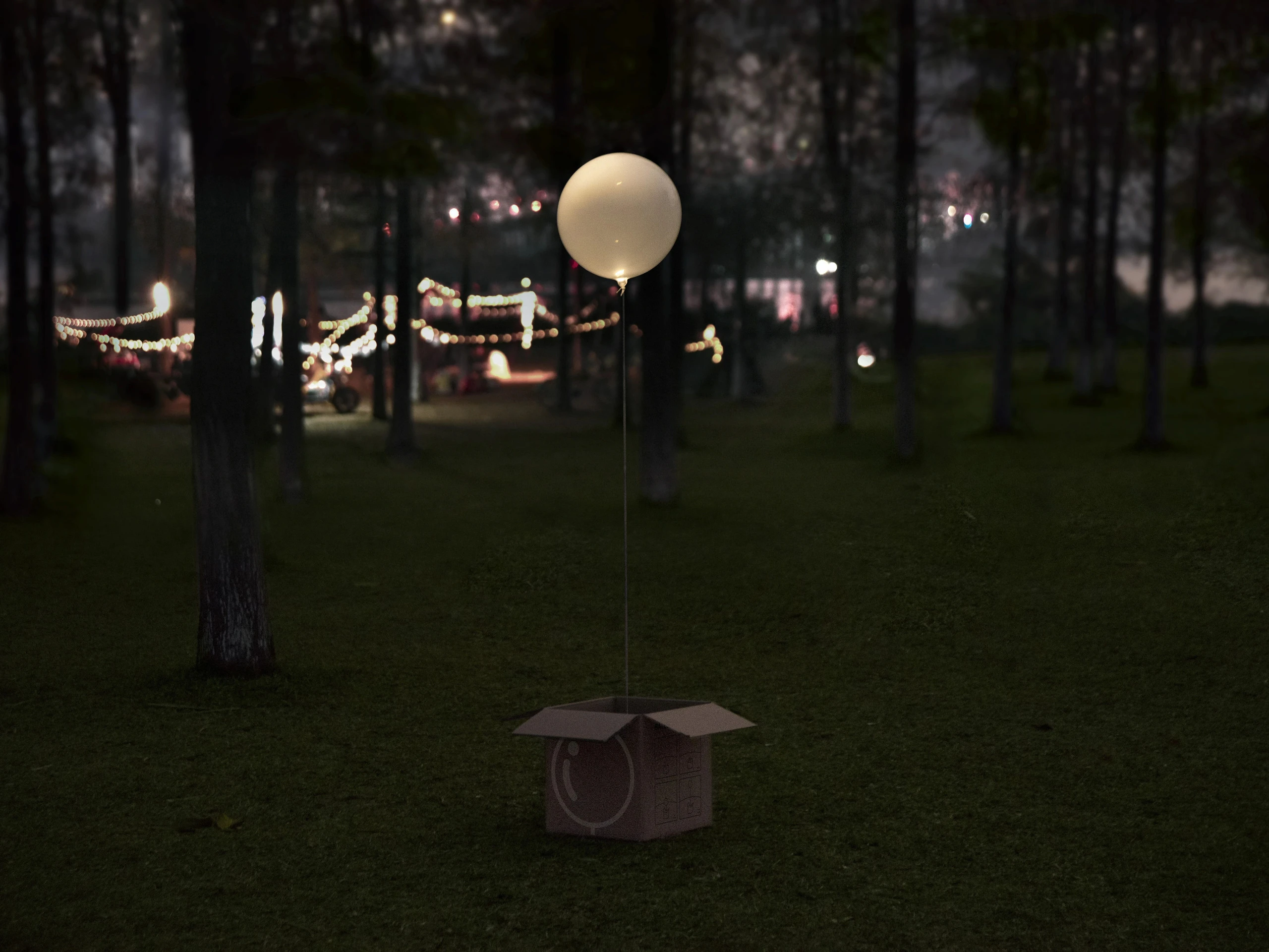 Float — image 6 of 7