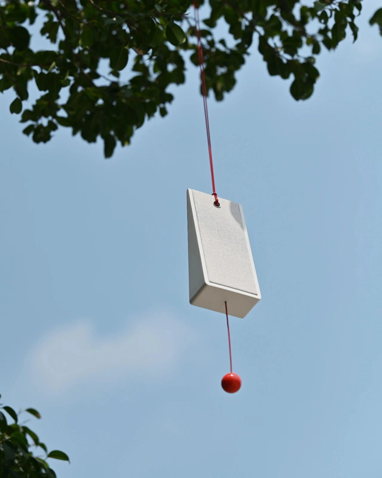 Slice — image 7 of 8